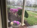 129 Bellevue Ave 7